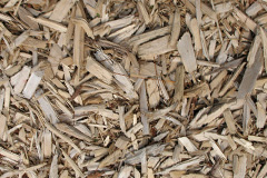 biomass boilers Llangorwen